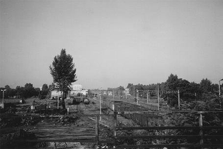 Banegrden i Auschwitz